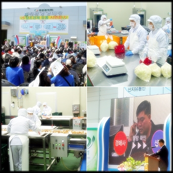 20130430_대전중앙청과_창조경제유통시연회 001_모듬.jpg